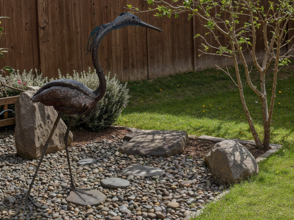 Baby Heron Head Straight