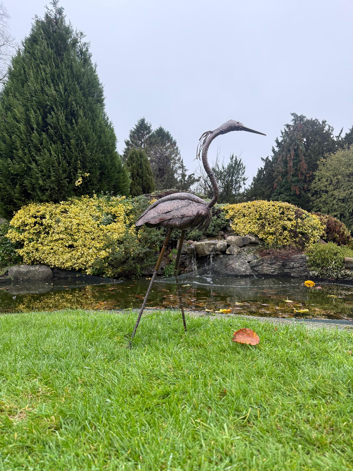 Baby Heron Head Straight