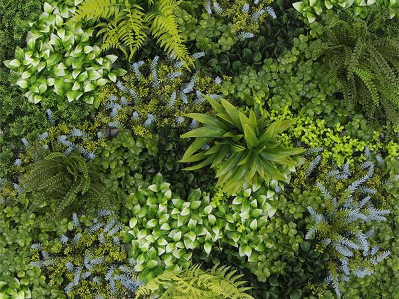 Living Wall Tile | Alps | 1m x 1m