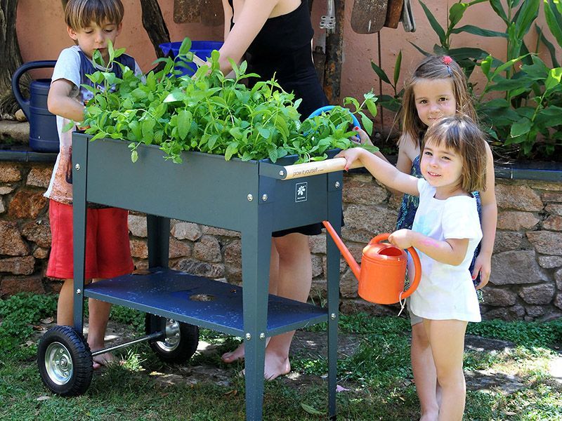 Urban Garden Trolley | Anthracite-Garden Furniture Centre-LowRange,Showroom exdis,Accessories,Garden Planters,Garden Plants,Accessories Gazebos,Urban Garden Trolley,Mother's Day,48Hour Dispatch-{collection_title}