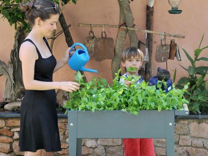 Urban Garden Trolley | Anthracite