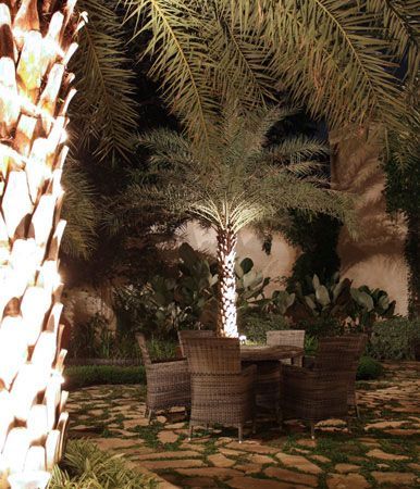 Avery Luxury Rattan Set