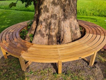 Backless Contour Tree Bench 