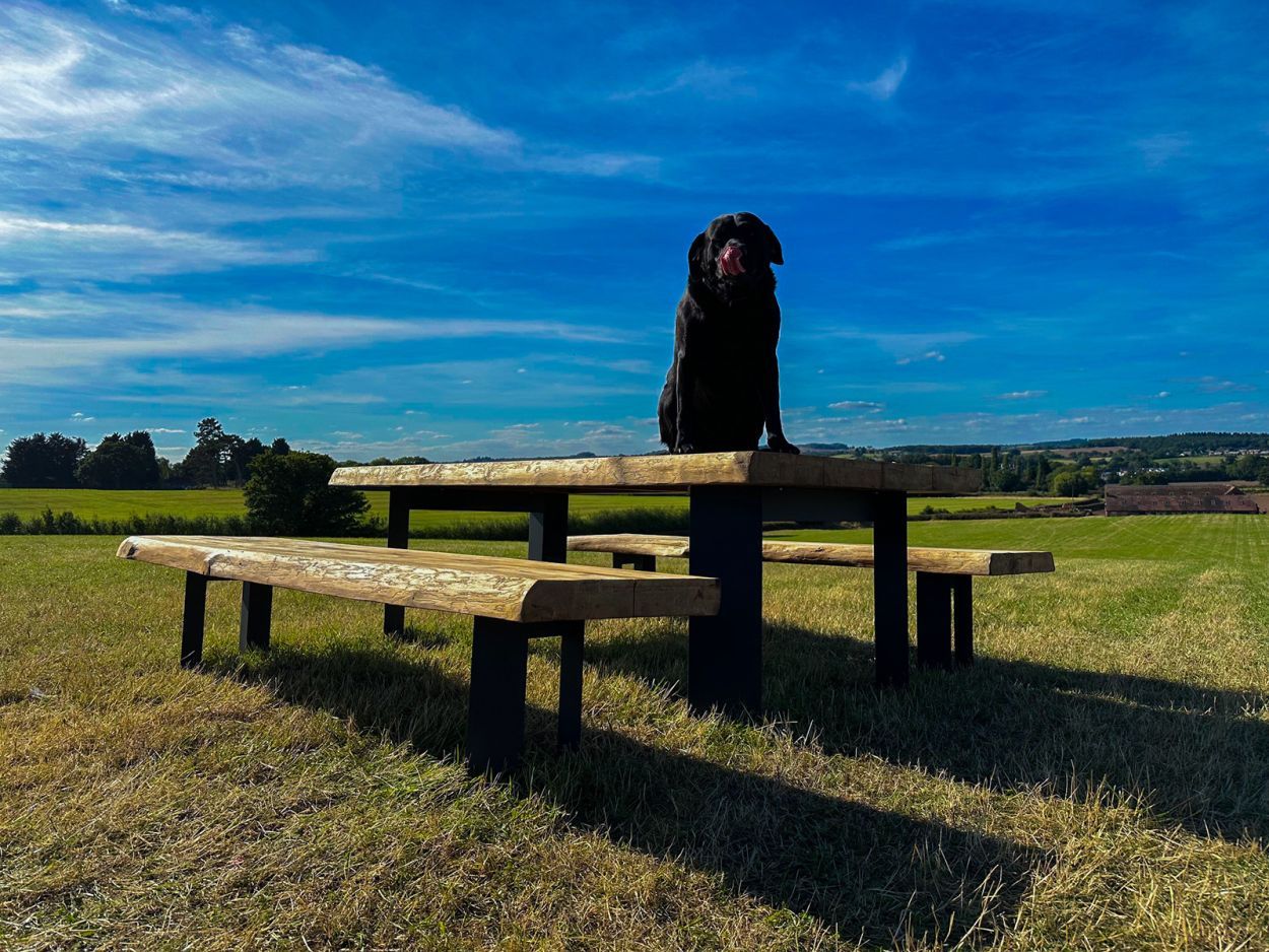 Barbarian Teak Bench Set 