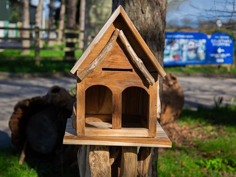 Teak Bird House | Medium-Garden Furniture Centre-LowRange,Teak,Accessories,Birdhouses & Bird Boxes,Pets & Wildlife-{collection_title}