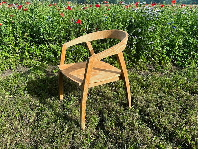Teak Dining Armchair | Bari Range