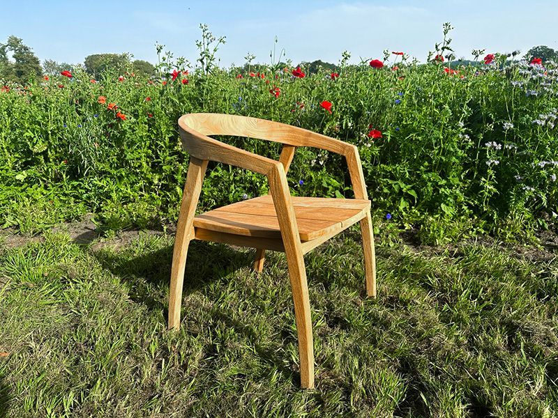 Teak Dining Armchair | Bari Range