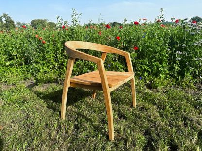 Teak Dining Armchair | Bari Range