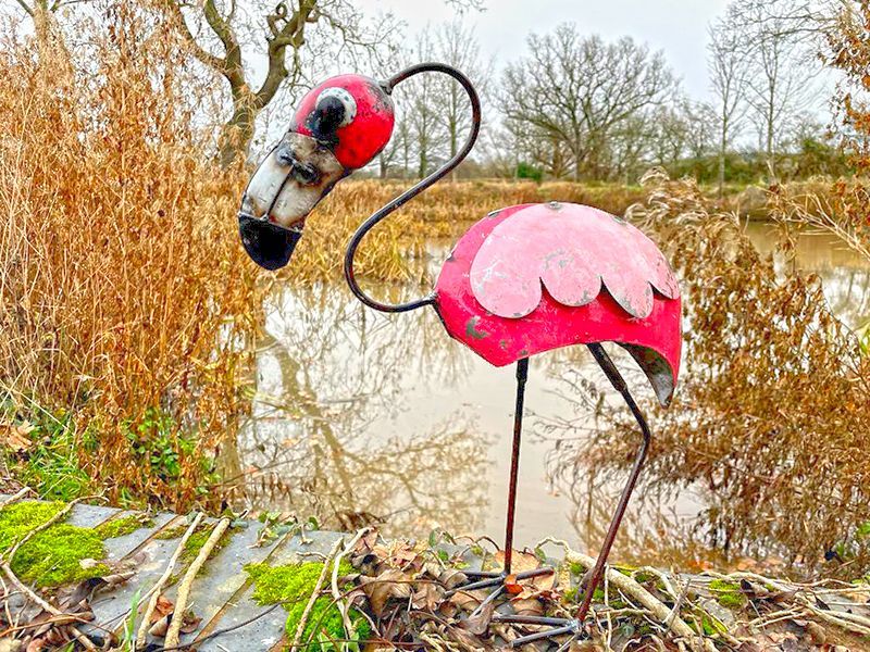 Barnyard Baby Flamingo