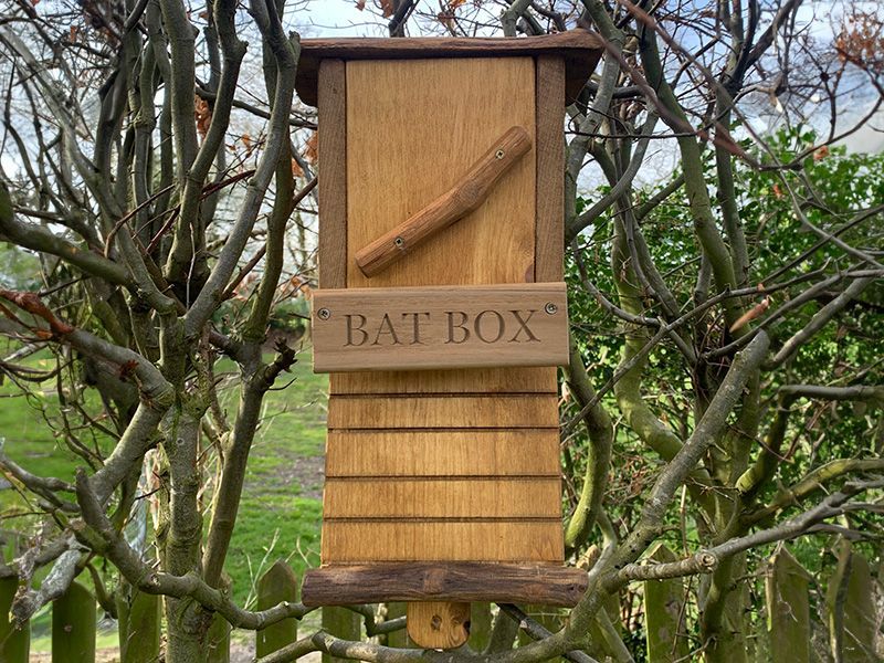 Rustic Oak Bat Box