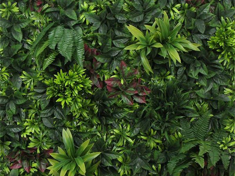 Living Wall Tile | Belgium | 1m x 1m