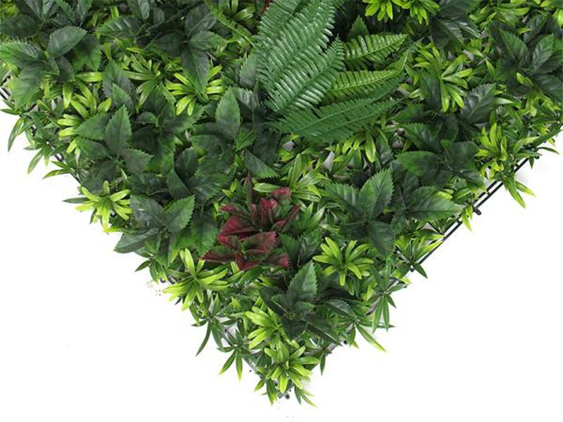 Living Wall Tile | Belgium | 1m x 1m