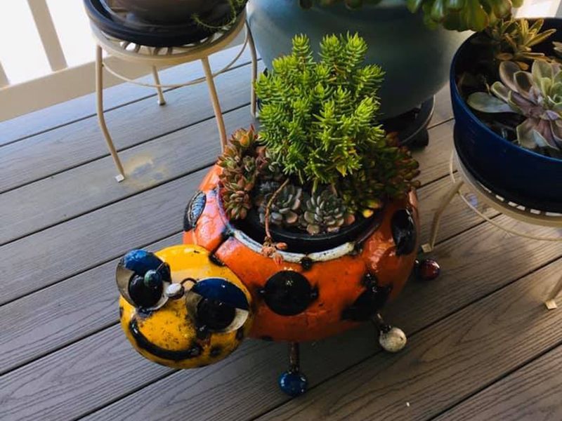 Lily The Lady Bug Planter-Garden Furniture Centre-48Hour Dispatch,LowRange,Ornaments,Accessories,Ranges,Animal Garden Ornaments,Think Outside Range,Metal Garden Ornaments,Garden Planters,Think Outside Range Ranges,Ornaments Accessories-{collection_title}
