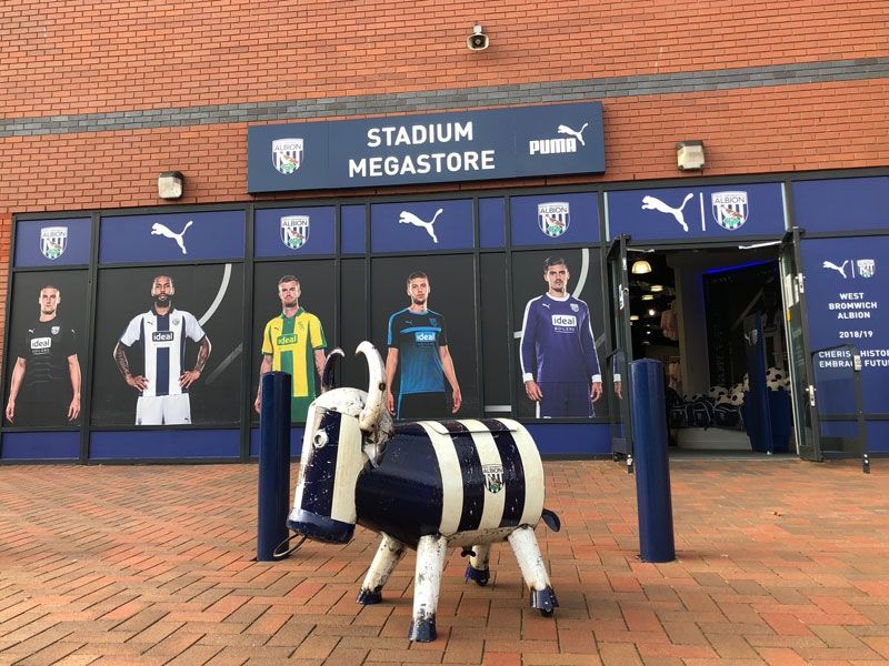 WBA Bruce The Bull Cooler