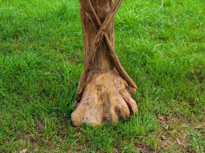 Teak Bird House | Large