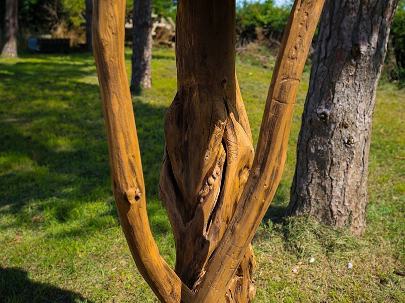 Teak Bird House | Large