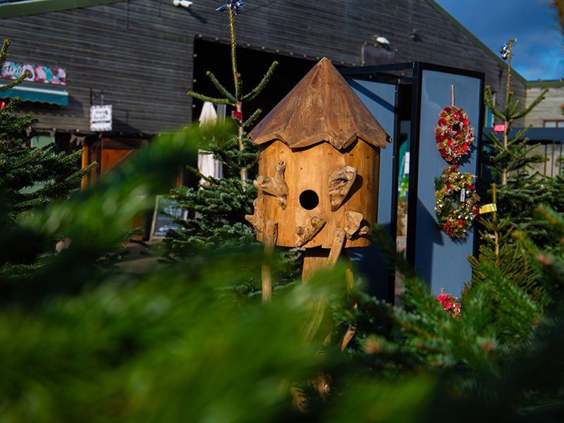 Teak Bird House | Large