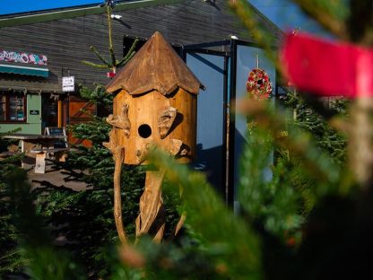 Teak Bird House | Large
