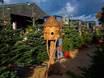 Teak Bird House | Large