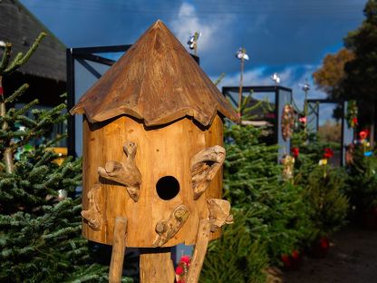 Teak Bird House | Large