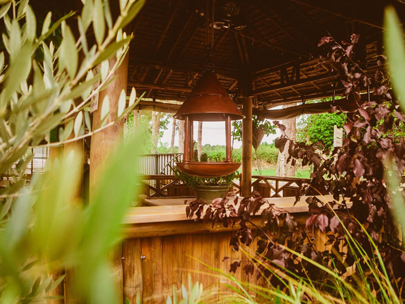 Bird Cafe-Garden Furniture Centre-Birdhouses & Bird Boxes,48Hour Dispatch,LowRange,Under 100,Information,Amazon Trade Account,Ornaments Accessories,Ornaments,Ranges,Think Outside Range,Metal Garden Ornaments,Hanging Garden Ornaments,Think Outside Range Ranges,Gifts,Pets & Wildlife Accessories,Accessories-{collection_title}