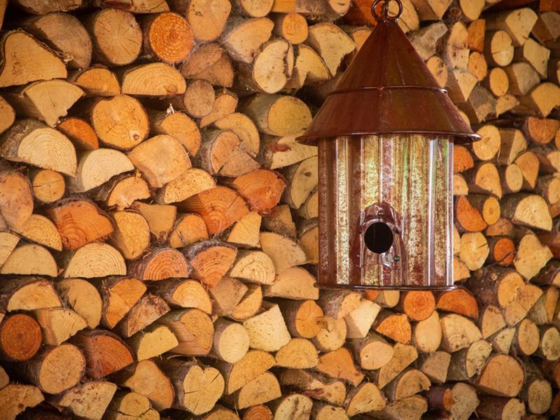 Bird Shack 