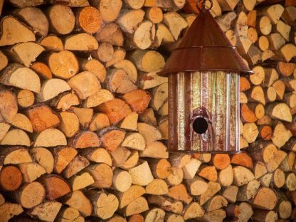 Bird Shack 