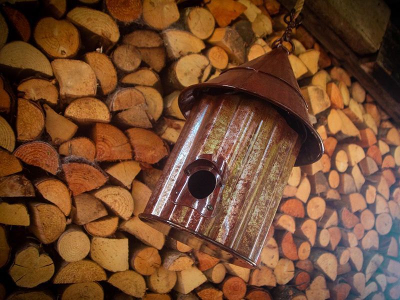 Bird Shack -Garden Furniture Centre-48Hour Dispatch,LowRange,Under 100,Information,Amazon Trade Account,Ornaments Accessories,Ornaments,Ranges,Think Outside Range,Metal Garden Ornaments,Hanging Garden Ornaments,Think Outside Range Ranges,Gifts,Pets & Wildlife Accessories,Birdhouses & Bird Boxes,Accessories,Pets & Wildlife-{collection_title}