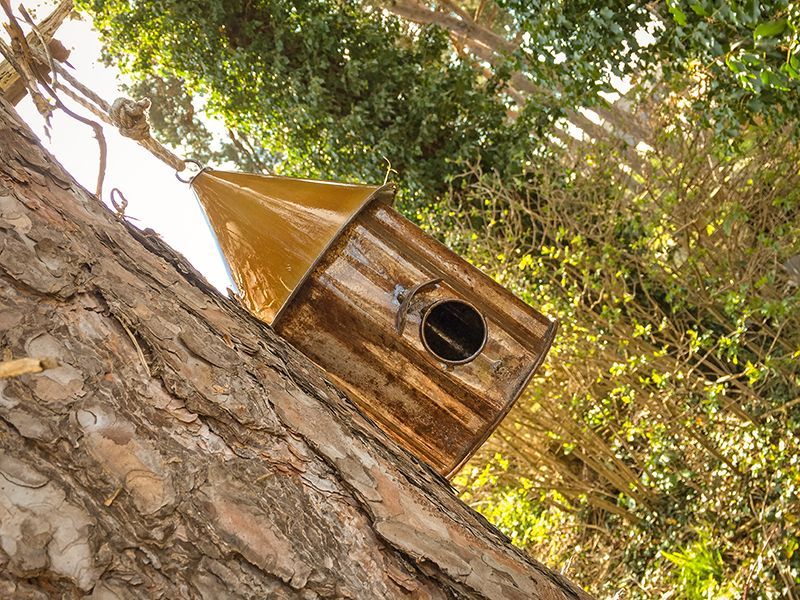 Bird Shanty-Garden Furniture Centre-Birdhouses & Bird Boxes,48Hour Dispatch,LowRange,Under 100,Information,Amazon Trade Account,Ornaments Accessories,Ornaments,Ranges,Think Outside Range,Metal Garden Ornaments,Hanging Garden Ornaments,Think Outside Range Ranges,Gifts,Pets & Wildlife Accessories,Accessories,Pets & Wildlife-{collection_title}