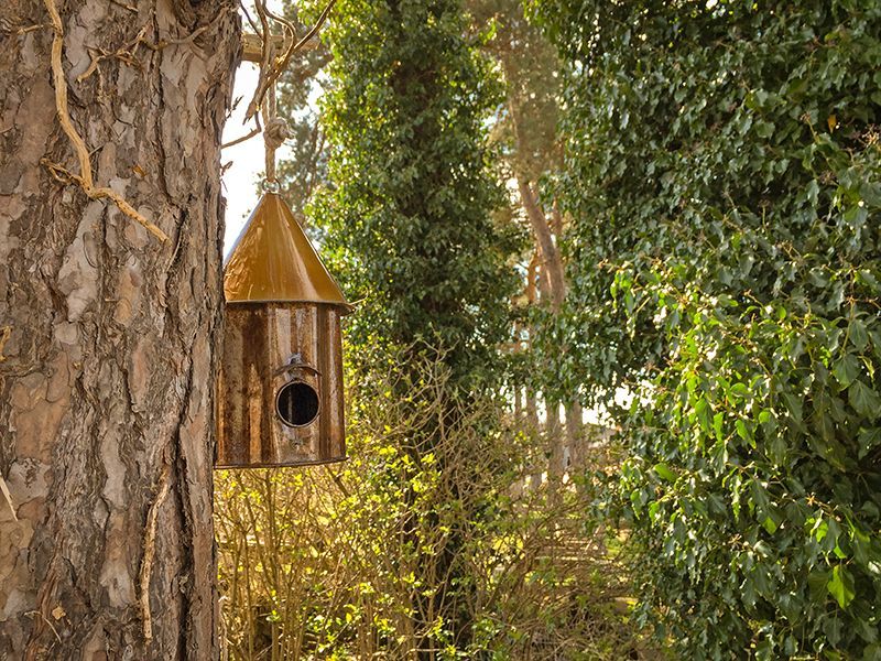 Bird Shanty-Garden Furniture Centre-Birdhouses & Bird Boxes,48Hour Dispatch,LowRange,Under 100,Information,Amazon Trade Account,Ornaments Accessories,Ornaments,Ranges,Think Outside Range,Metal Garden Ornaments,Hanging Garden Ornaments,Think Outside Range Ranges,Gifts,Pets & Wildlife Accessories,Accessories,Pets & Wildlife-{collection_title}