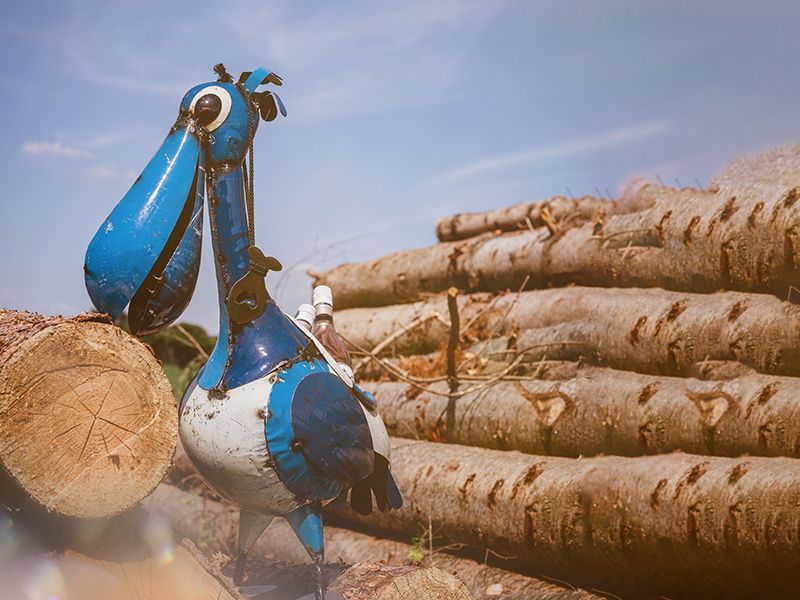 Pete The Pelican Drinks Tub Coastal -Garden Furniture Centre-48Hour Dispatch,LowRange,Ornaments Accessories,Ornaments,Accessories,Ranges,Animal Garden Ornaments,Think Outside Range,Metal Garden Ornaments,Novelty Drinks Coolers,Think Outside Range Ranges-{collection_title}
