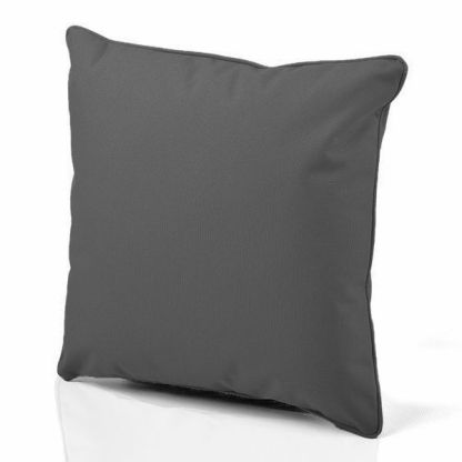 Scatter Cushion | Black Pin