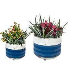 Bondi Blue Balcony Planters (Set Of Two)