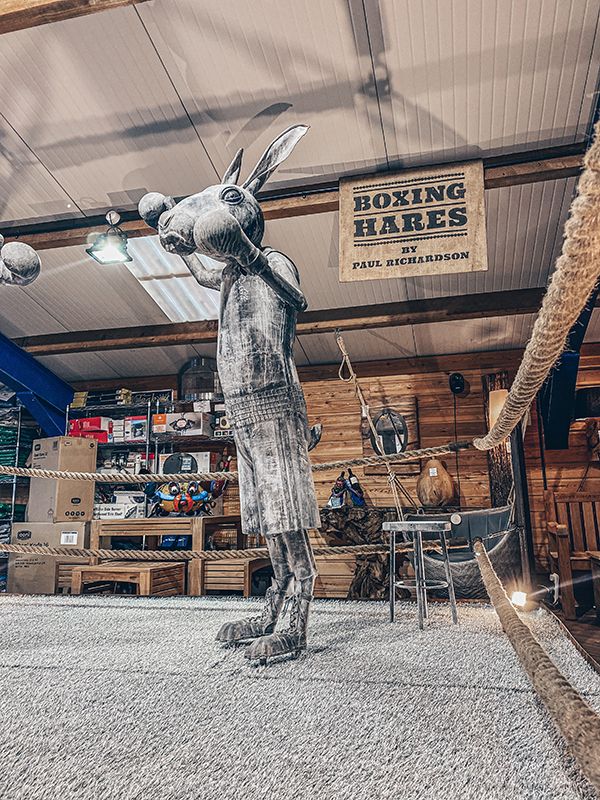 Boxing Hares 