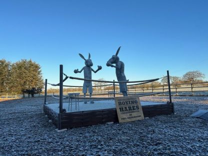 Boxing Hares 