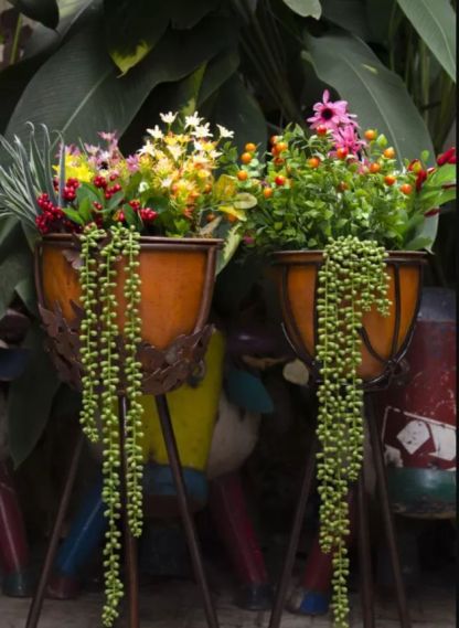 Butterfly Planter Stand 