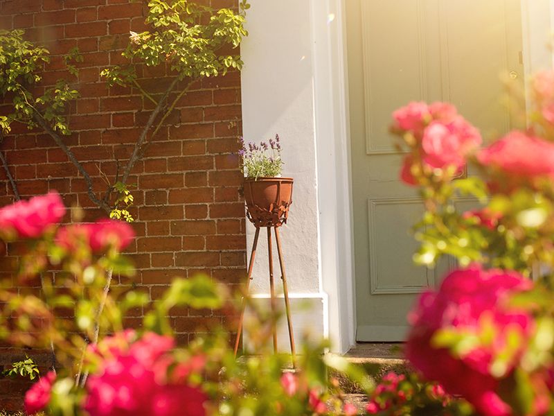 Butterfly Planter Stand 