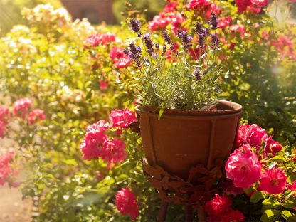 Butterfly Planter Stand 