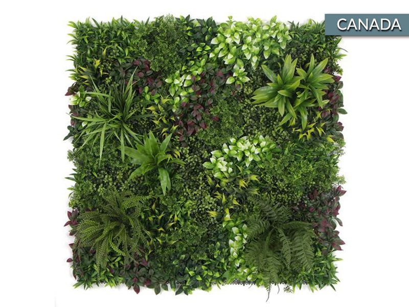 Living Wall Tile | Canada | 1m x 1m-Garden Furniture Centre-LowRange,Under 100,Wall Panels,48Hour Dispatch-{collection_title}