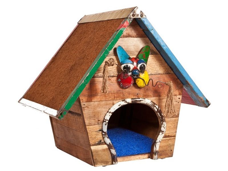 The Cat Scratch Palace