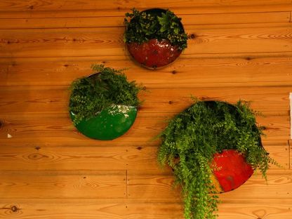 Circle Of Life | Circular Wall Planters (Set Of Three)