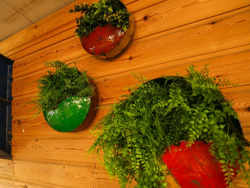 Circle Of Life | Circular Wall Planters (Set Of Three)