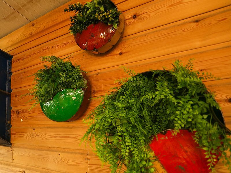 Circle Of Life | Circular Wall Planters (Set Of Three)