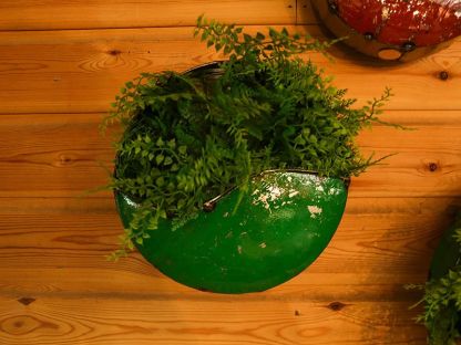 Circle Of Life | Circular Wall Planters (Set Of Three)