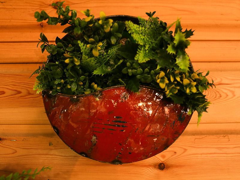 Circle Of Life | Circular Wall Planters (Set Of Three)