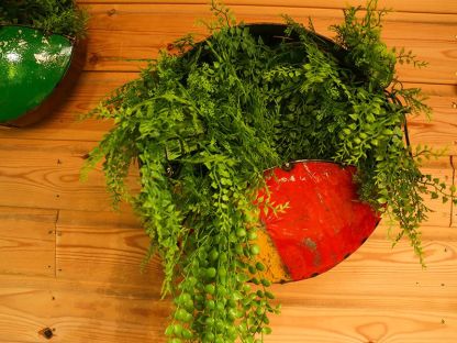 Circle Of Life | Circular Wall Planters (Set Of Three)