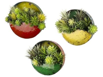 Circle Of Life | Circular Wall Planters (Set Of Three)