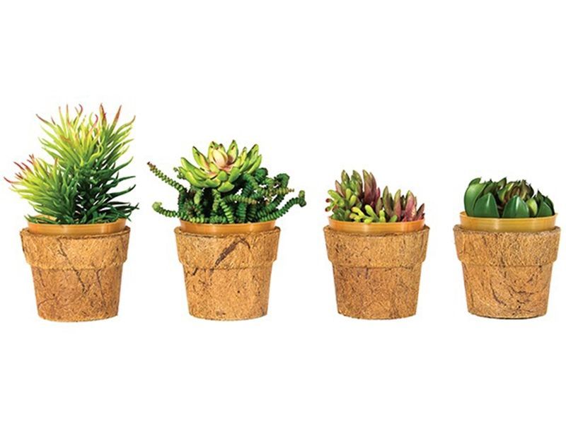 Cocopots Mini Heaven Planters (Set Of Four)-Garden Furniture Centre-48Hour Dispatch,LowRange,Under 100,Ornaments,Accessories,Ranges,Think Outside Range,Garden Planters,Think Outside Range Ranges,Gifts,Ornaments Accessories,CocoPots-{collection_title}