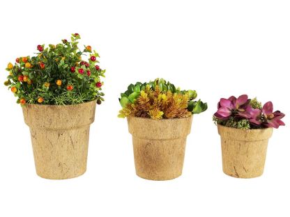 Cocopots Alare Natural (Set Of Three)