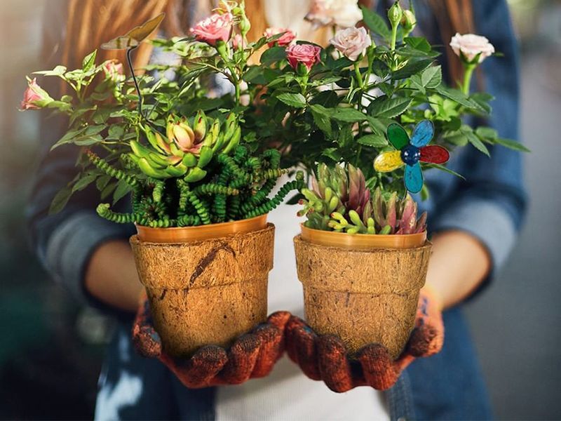 Cocopots Spring Time (Set Of Three)-Garden Furniture Centre-48Hour Dispatch,LowRange,Under 100,Ornaments,Accessories,Ranges,Think Outside Range,Garden Planters,Think Outside Range Ranges,Gifts,Ornaments Accessories,CocoPots-{collection_title}